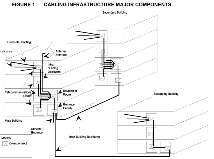 Ceig Rules Pdf